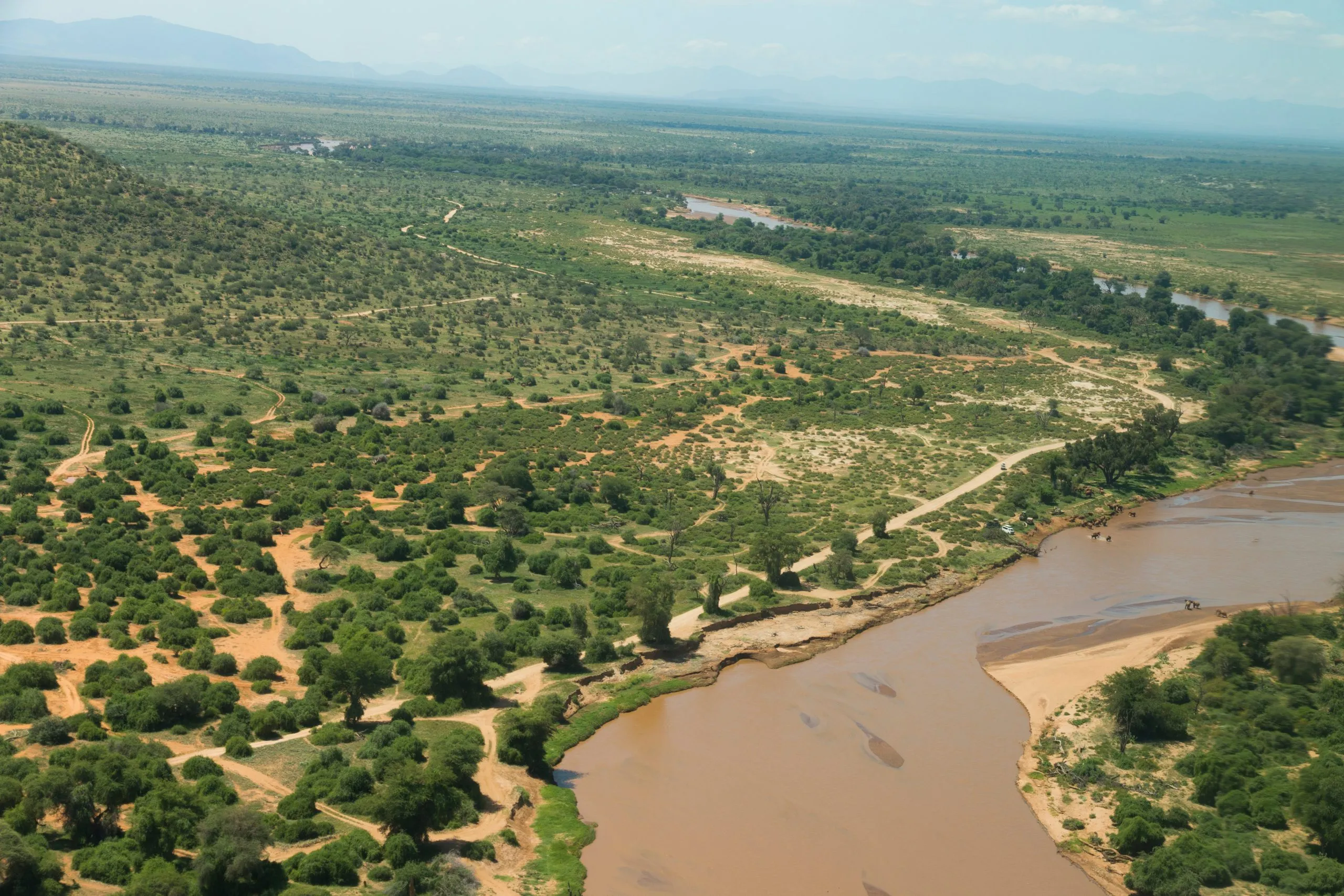 Afrika, Kenya, Samburu, Ewaso Ng'iro-floden.