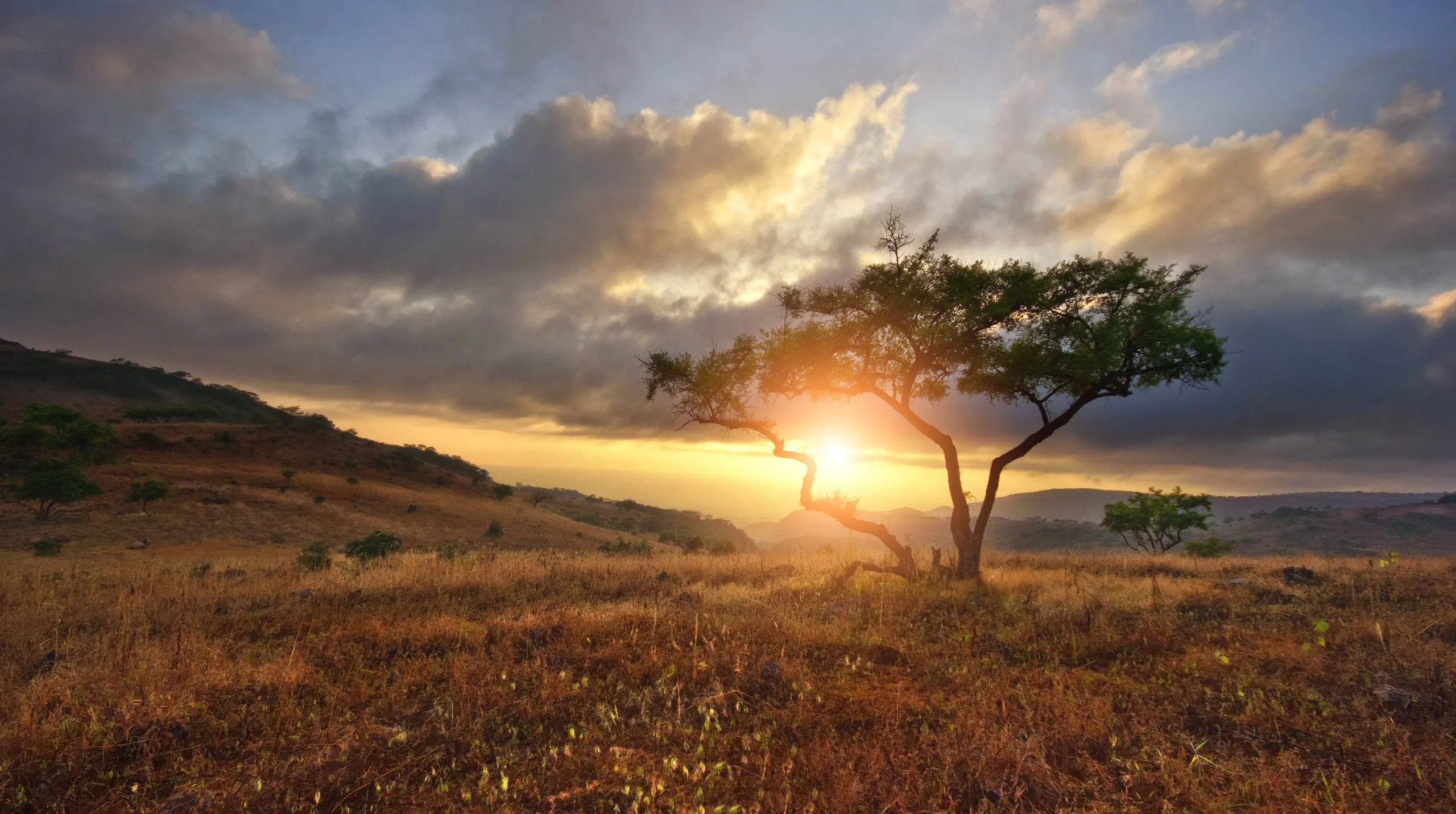 Schöne Landschaft mit keinem Baum in Afrika
