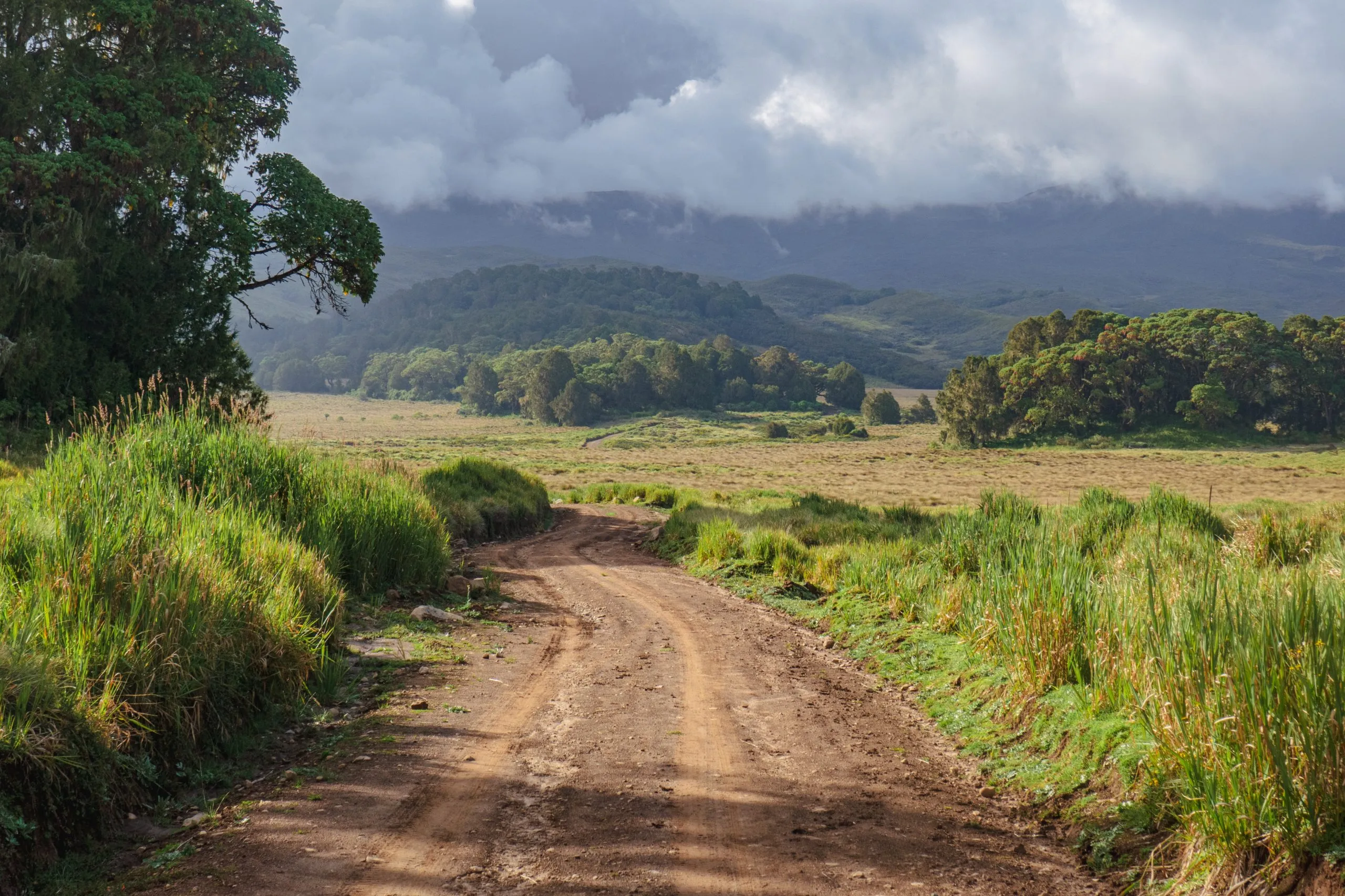 Uma estrada de terra batida contra um fundo de montanha na Rota de Chogoria, no Monte Quénia