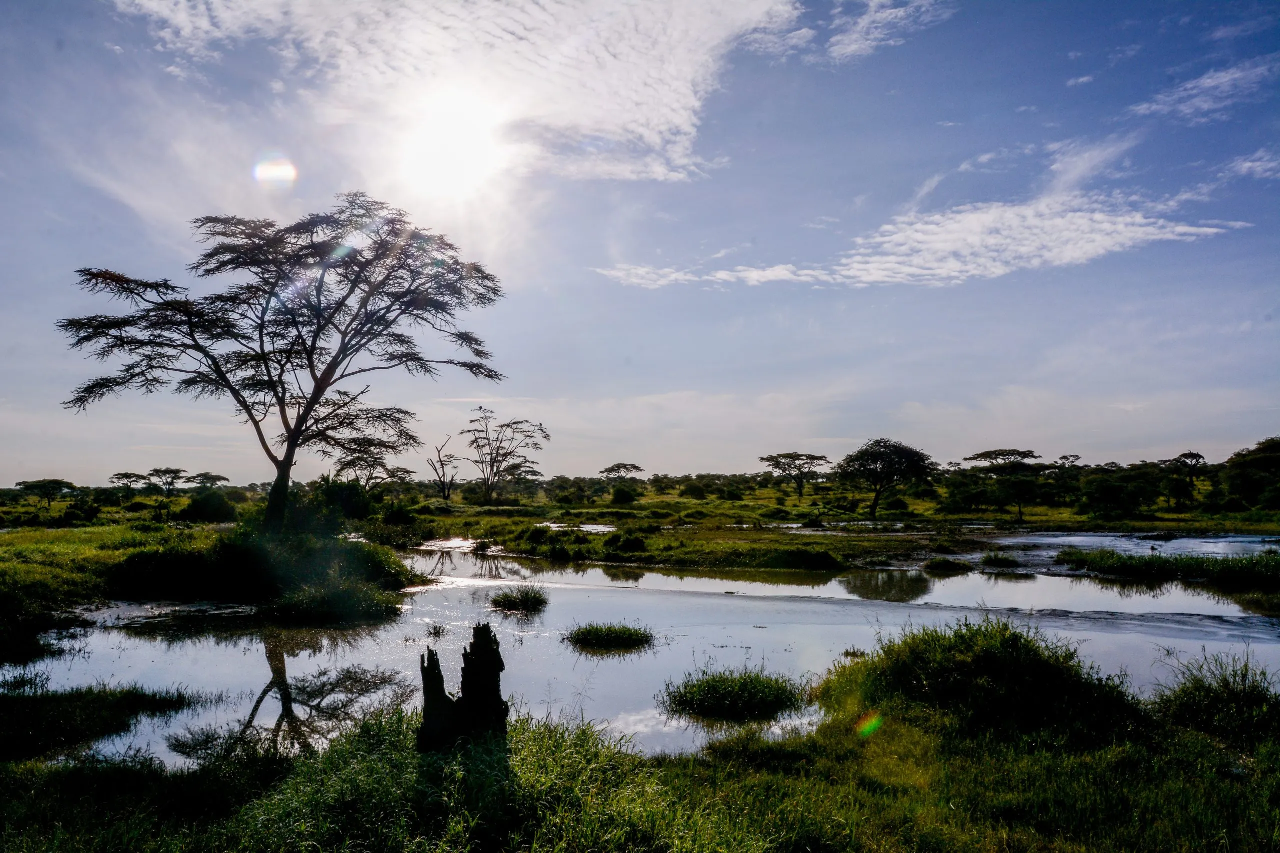 Landscape in Manyara National Park
