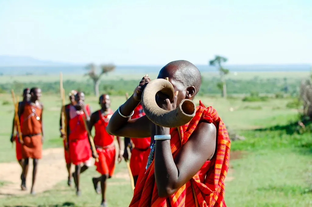 Masai Kudun sarvien puhaltaminen - Kenia