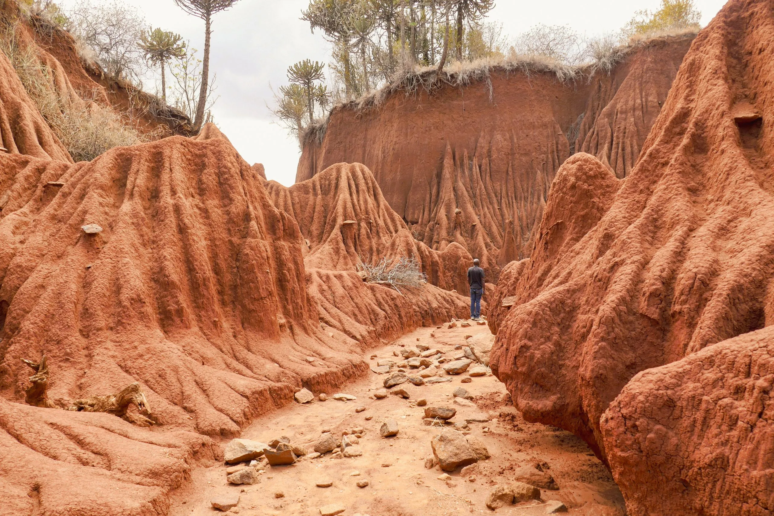 Een wandelaar op een schilderachtig uitzichtpunt tegen de Ol Jogi canyons in Nanyuki, Kenia