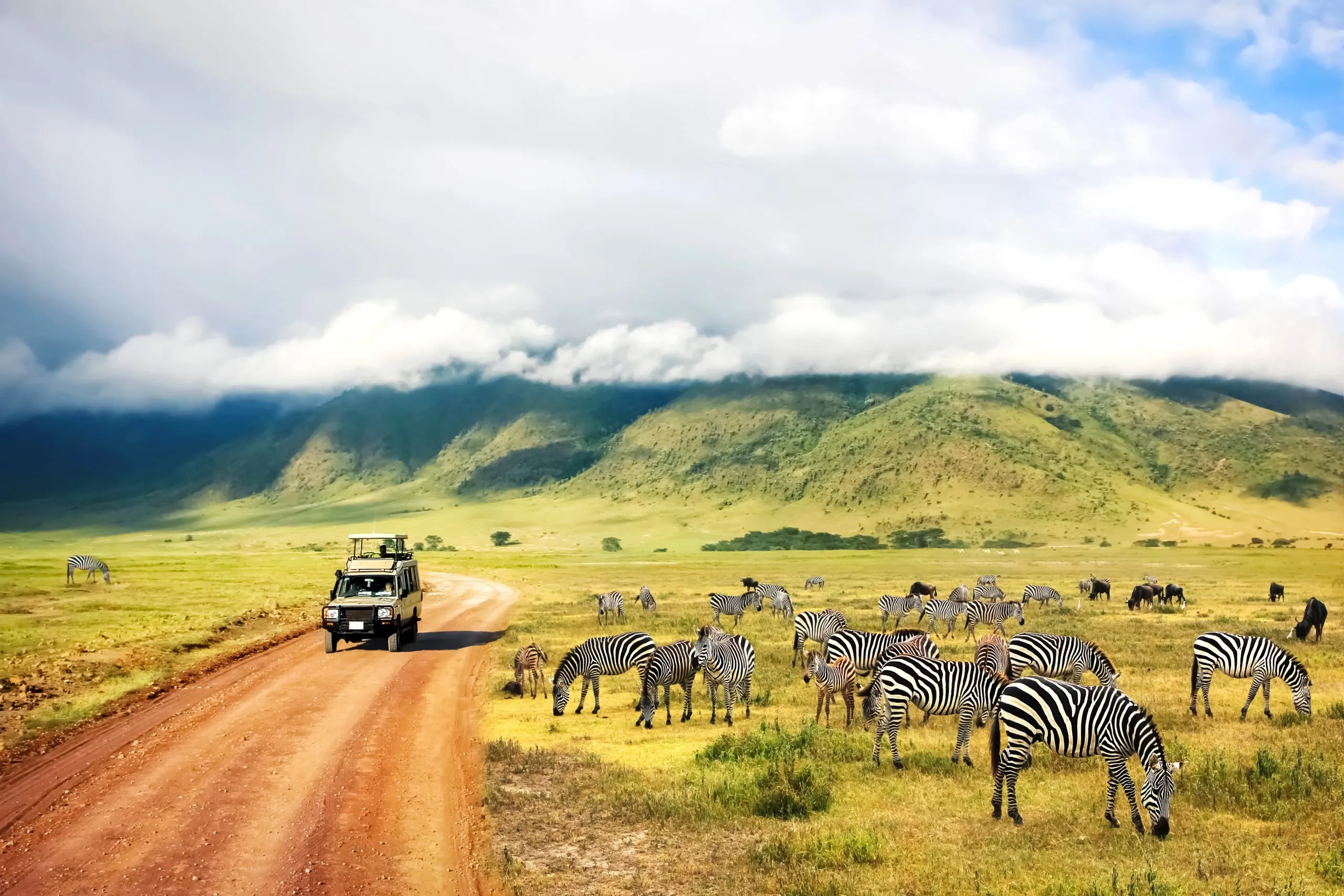 Wilde Natur in Afrika. Zebras gegen Berge und Wolken. Safari im Ngorongoro-Krater-Nationalpark. Tansania.