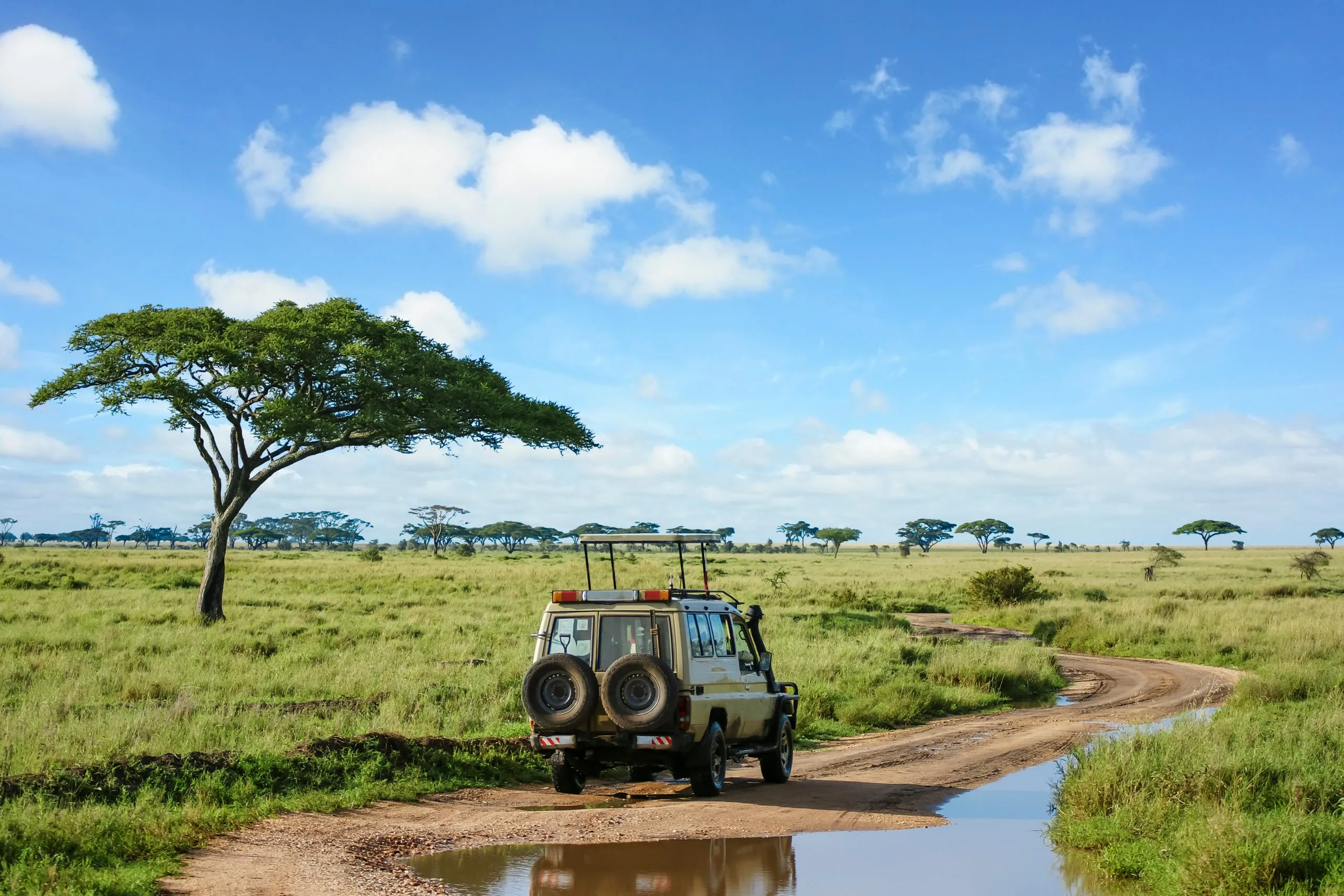 Safarilandskap på gresslettene i Serengeti