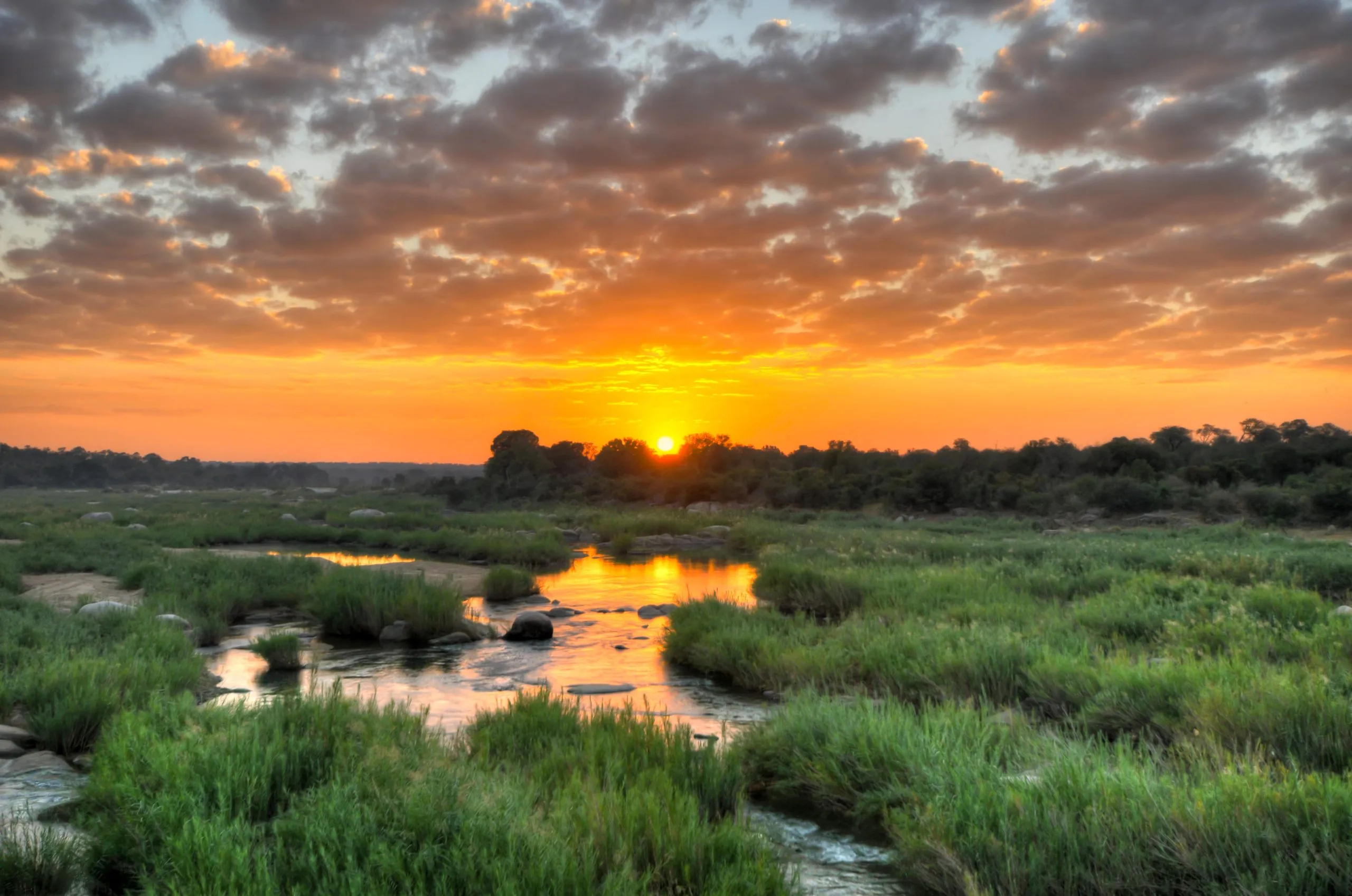 Lever de soleil dans le parc national Kruger